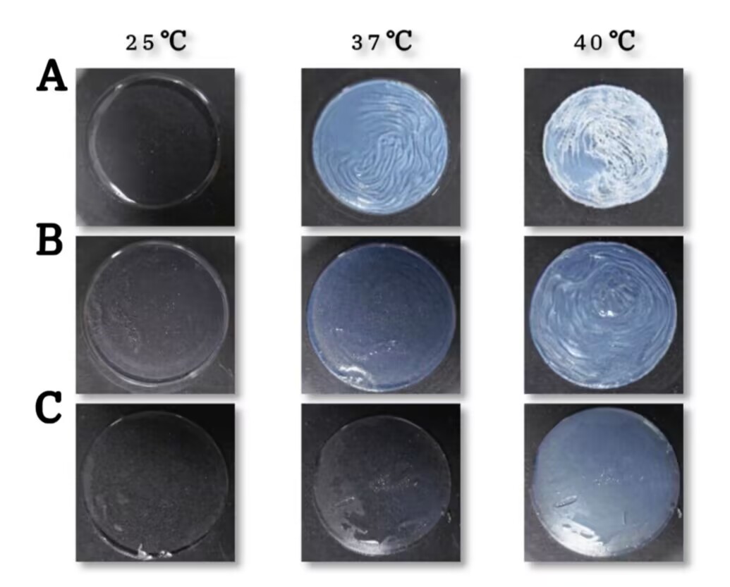 1755159434718282.jpg 微信图片_2025-08-14_155726_691.jpg